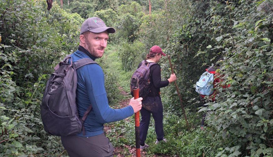 A JOURNEY INTO THE HEART OF BWINDI IMPENETRABLE NATIONAL PARK.